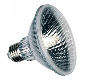 Lampu halogen